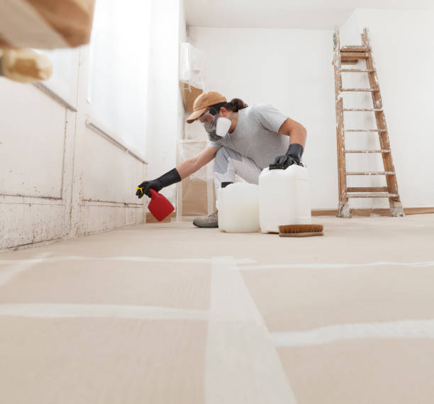 Biohazard Mold Removal in Ottawa, OH
